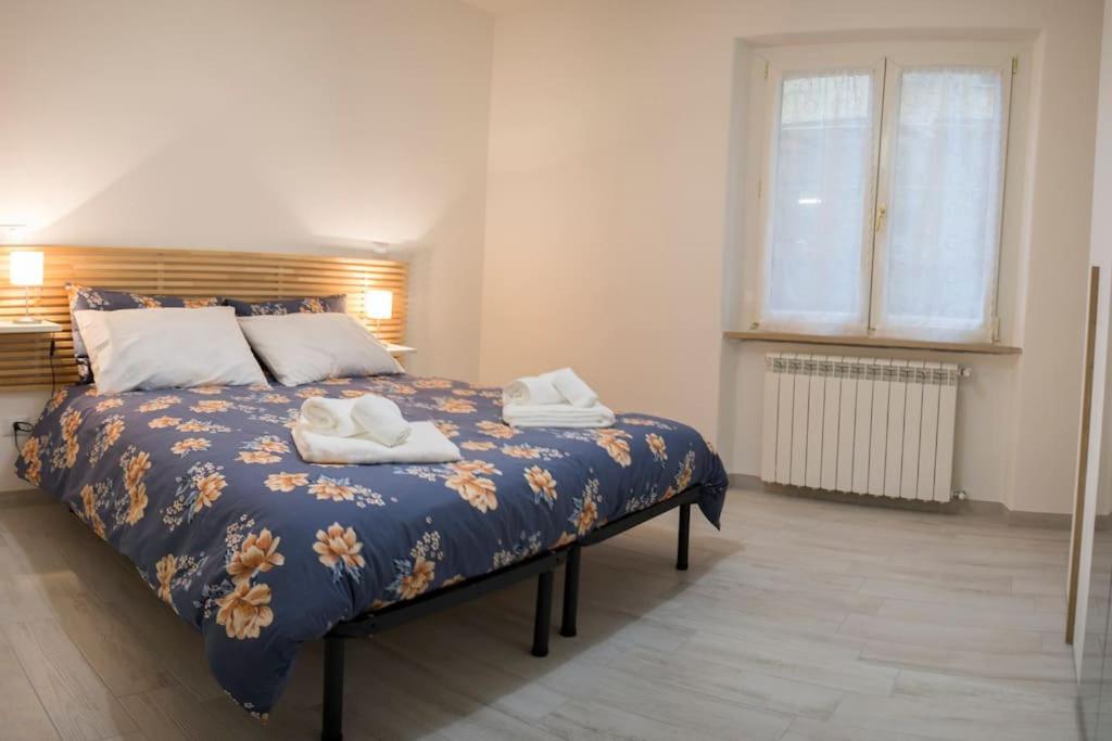 L'edera