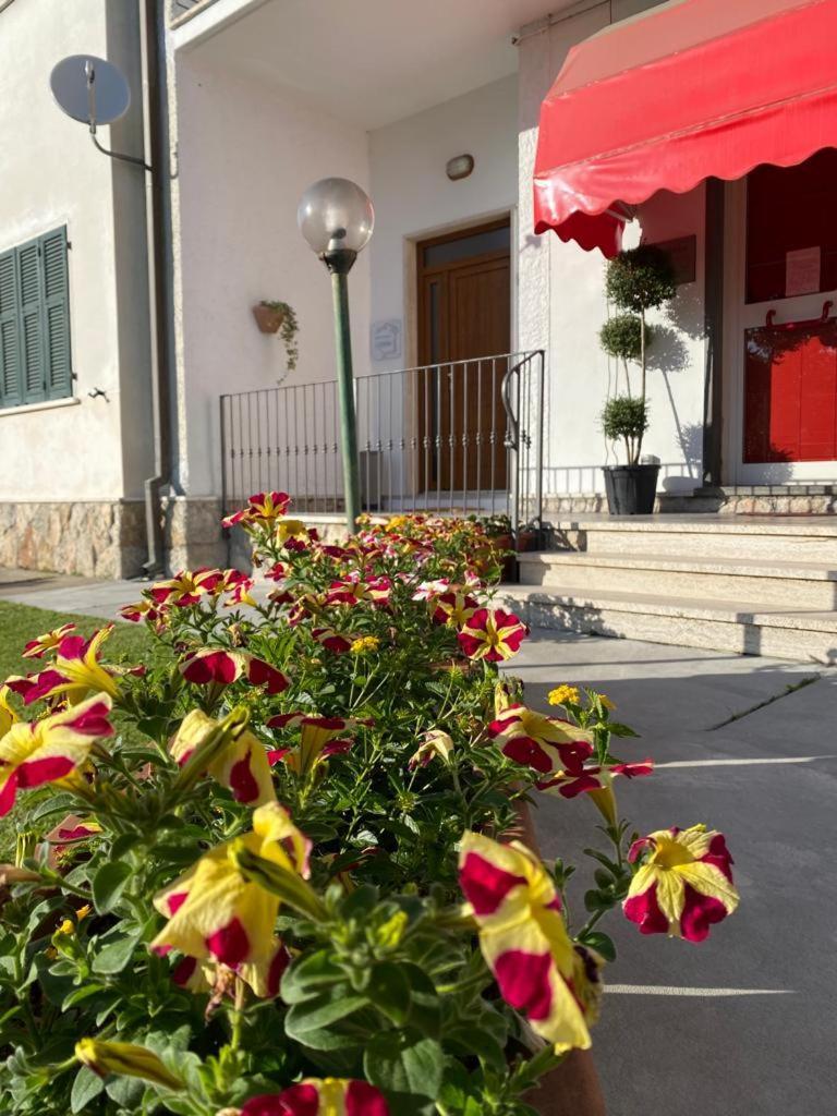 L'edera Apartment *